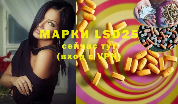 PSILOCYBIN Белокуриха
