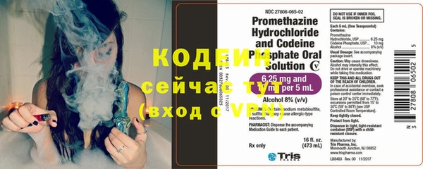 СК Тавда