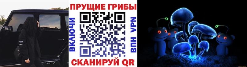 Галлюциногенные грибы GOLDEN TEACHER Высоцк